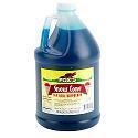 Blue Rasberry Snow Cone Syrup